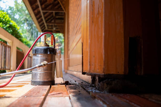 Best Cockroach Control Services  in Fowlerville, MI