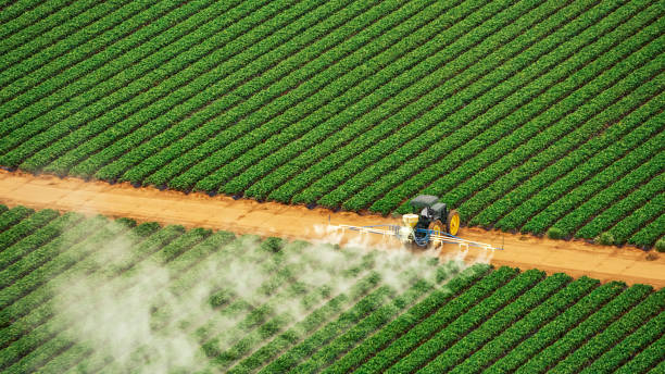Reliable Fowlerville, MI Pest Control Solutions