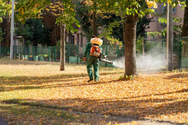 Insect Control in Fowlerville, MI