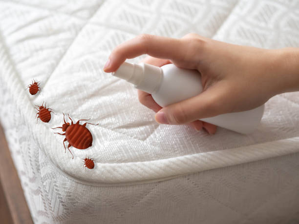 Best Local Pest Control Services  in Fowlerville, MI