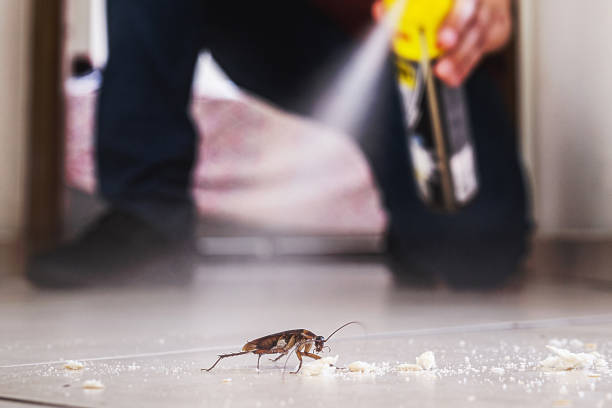 Best Pest Prevention Services  in Fowlerville, MI