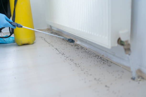 Best Pest Inspection Near Me  in Fowlerville, MI