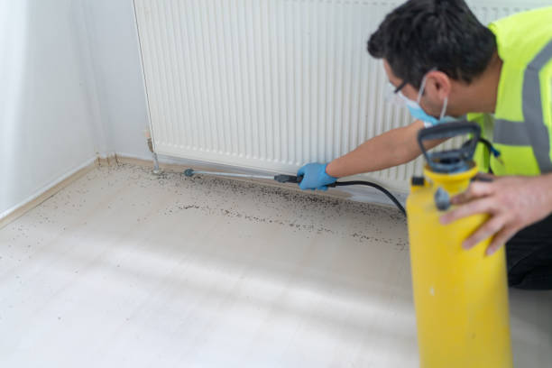 Best Wasp Removal Services  in Fowlerville, MI